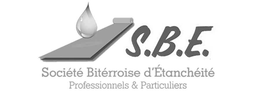 logo gris sbe